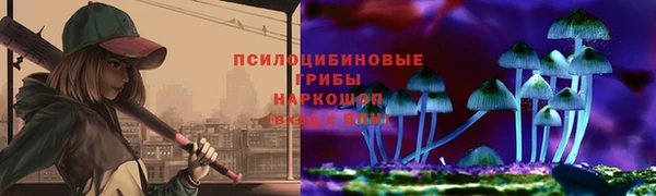 spice Алзамай