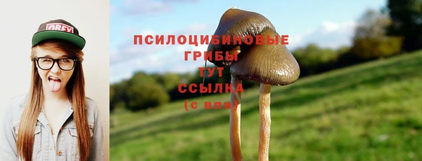 экстази Алексеевка